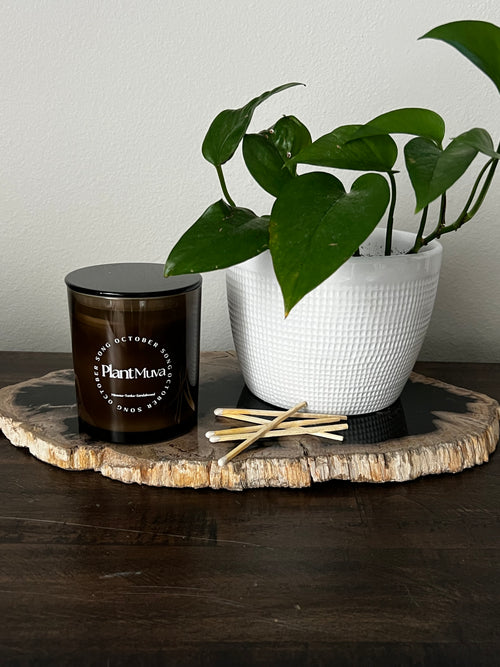 PlantMuva Candle