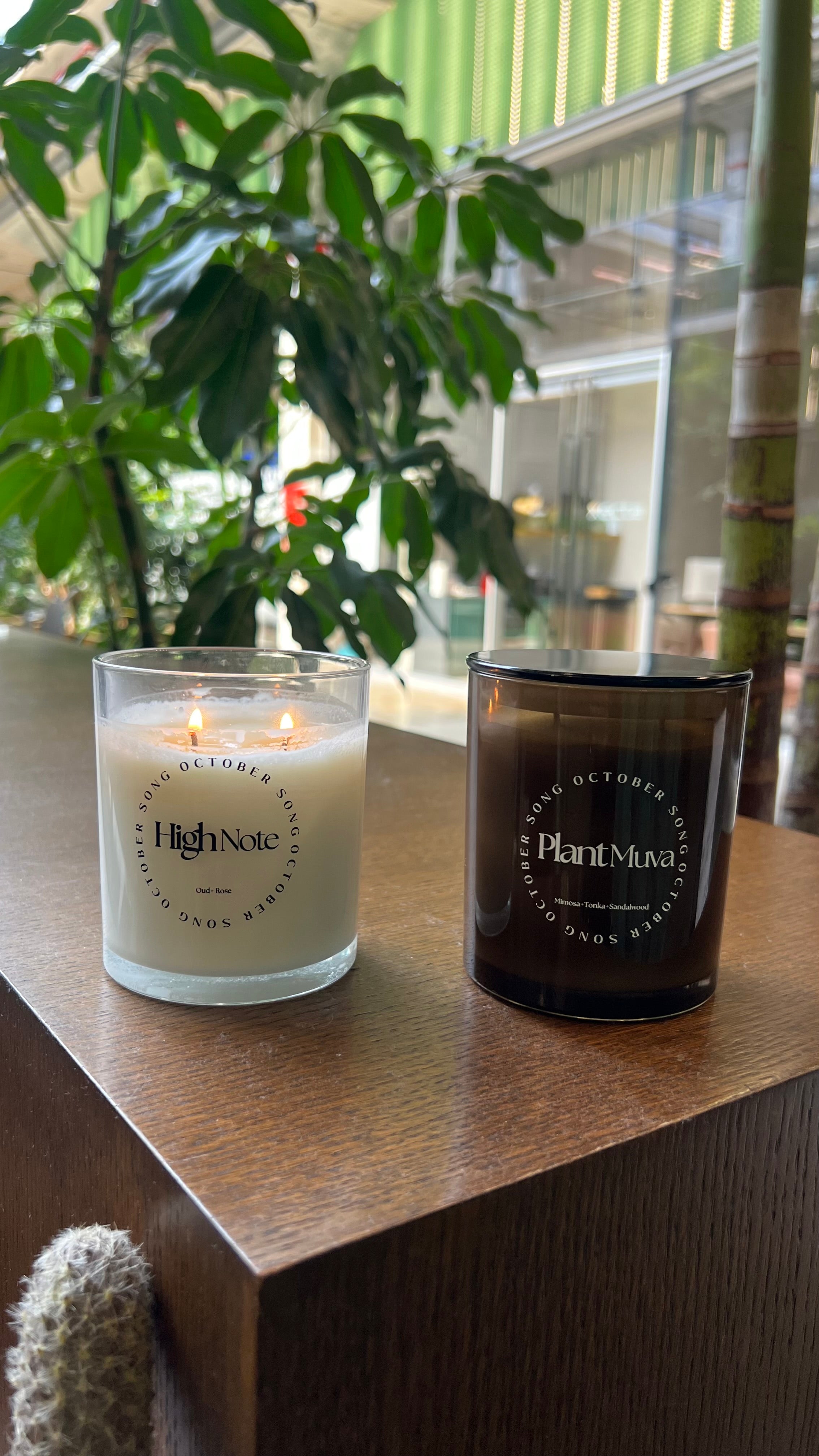 PlantMuva Candle