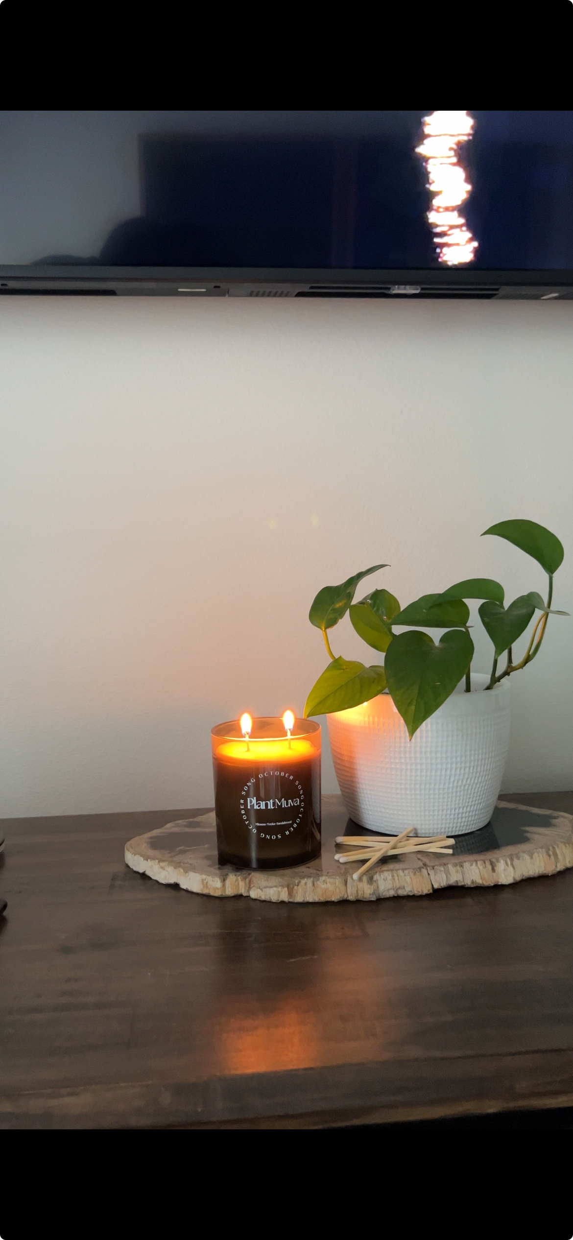 PlantMuva Candle